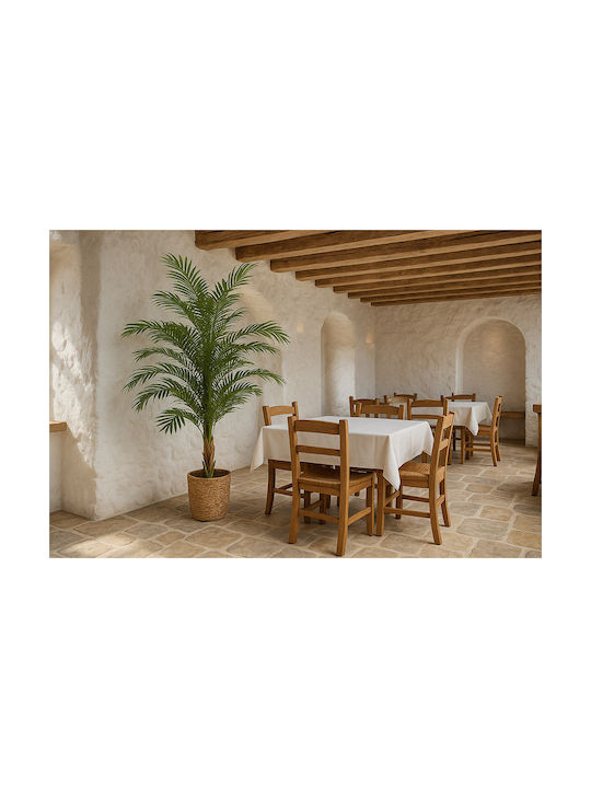 Palm Tree Np9295_160 Υψος 160cm Newplan