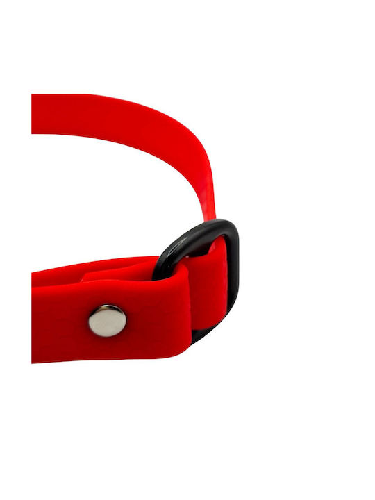 Dog Collar Hexa Colored Adjustable Waterproof Collar Bailu M 30 45 Width 2cm Red