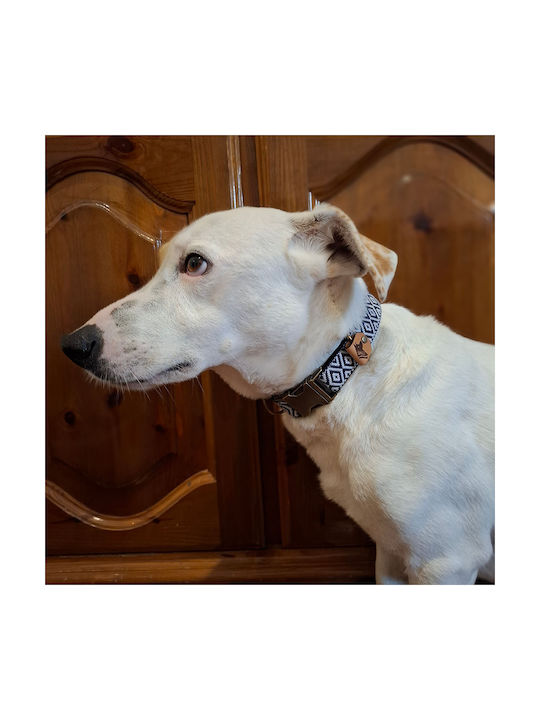 Dog Collar Ikaria Urban Adjustable Fabric Collar Bailu M 32 52cm Width 2.5cm Ikaria