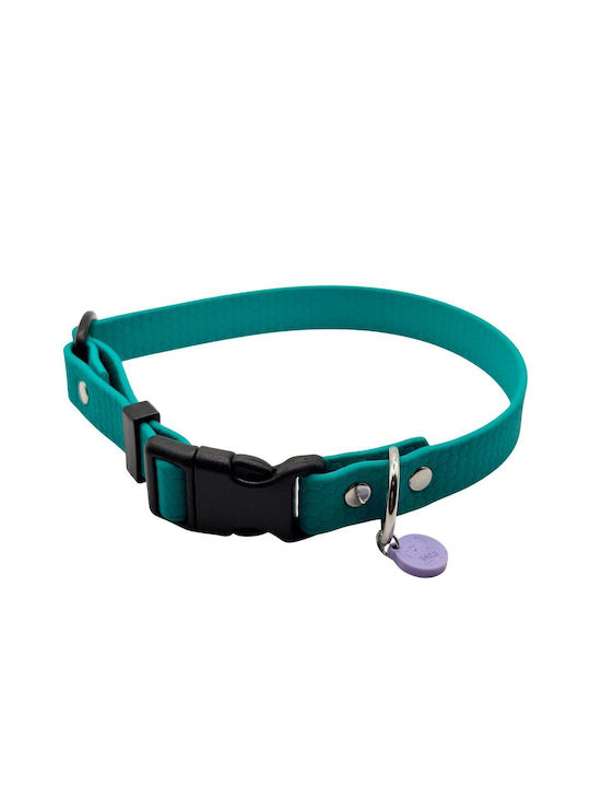 Hundehalsband Hexa Farbige Verstellbare Wasserdichte Halsband Bailu Größe Klein 27 37 Breite 2cm Blau-Grün