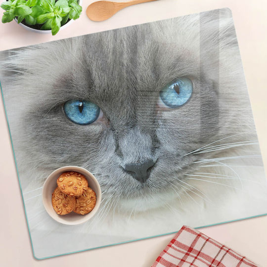 Wandsticker & Wandgemälde Schutzglasplatte für Küchenarbeitsplatte Katze Blaue Augen 60x52 cm