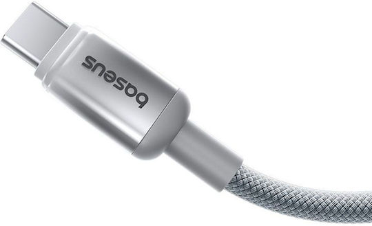 Baseus USB 2.0 Kabel USB-C männlich - USB-C 100W Silber 2m