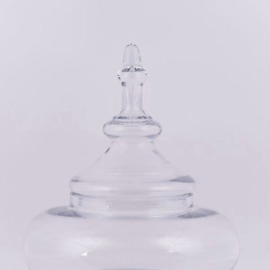 Φοντανιέρα Sticlă cu Capac 28x28x28.5cm Transparentă Φοντανιέρα Sticlă cu Capac 28x28x28.5cm Transparentă
