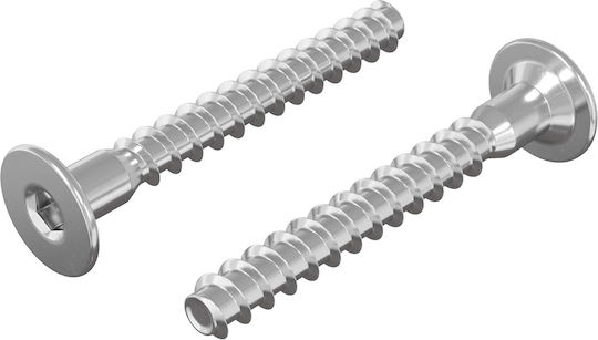 vidaXL Screw Torx Metallic with Diameter M5mm 2pcs