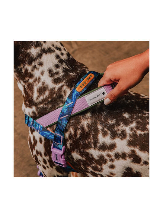 Zee Dog Dog Harness Training Softer Walk Reebok Trekk 41-54cm S