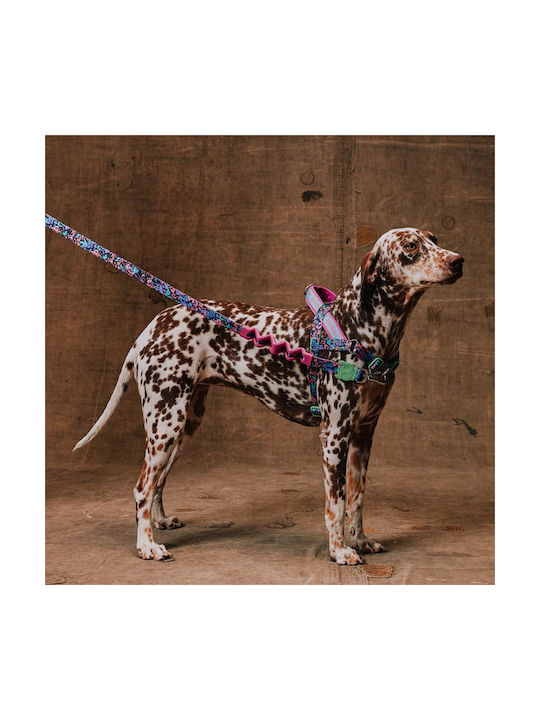 Zee Dog Dog Harness Training Softer Walk Reebok Aerobic 41-54cm Small