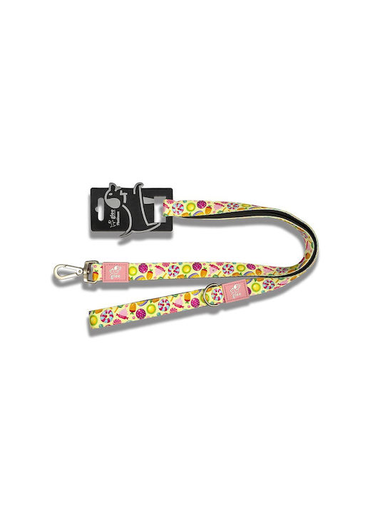 Glee Dog Bandana