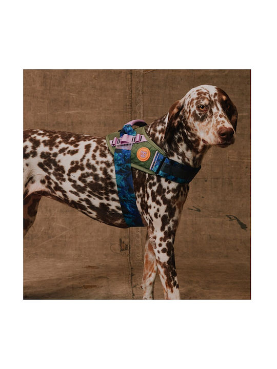 Zee Dog Ошийник За Кучета Reebok Trekk 45-70см Х 2,5см L