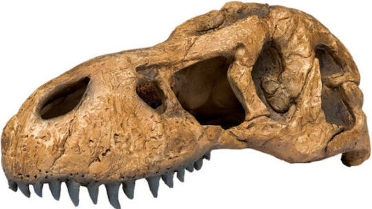Exo Terra Zubehör für Reptilienterrarium