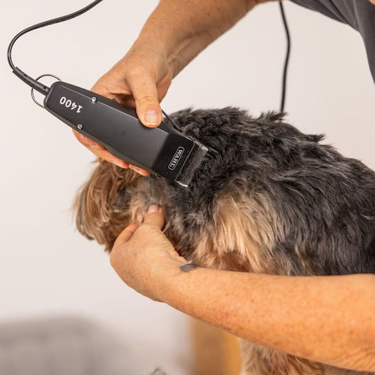 Dog Grooming Clippers Power