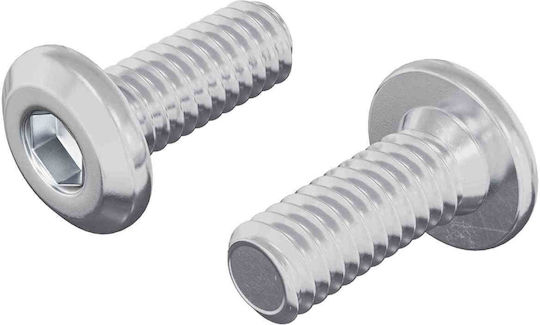 vidaXL Wood Bolts Hexagon Metallic with Length 6mm 2pcs 18kg