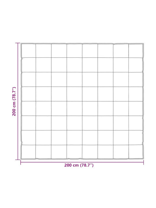 vidaXL Плик за Завивка Двоен 200x200 Silver