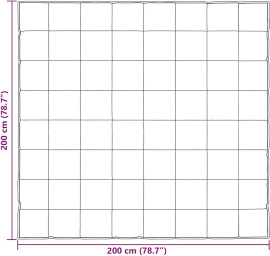 vidaXL Παπλωματοθήκη Διπλή 200x200 Ασημί