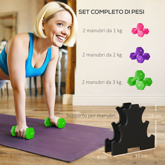 Sportnow Σετ Βάρη Χειρός Στήριγμα 6 Συνολικά Βάρη 2x1 Kg 2x2 Kg 2x3 Kg Πολύχρωμο A91-317v00mx