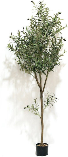 Supergreens Künstlicher Olivenbaum Mediterra Grüne 180 cm Supergreens Künstlicher Olivenbaum Mediterra Grüne 180 cm