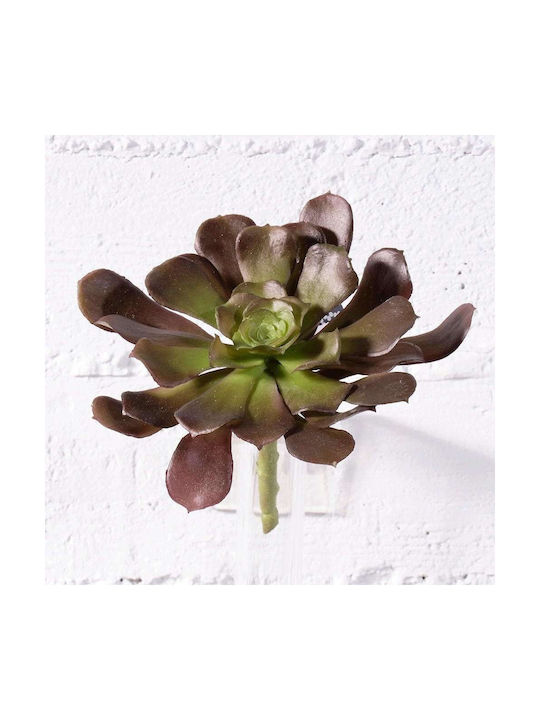 Supergreens Plantă Suculentă Artificială Încastrată Maro 10 Cm