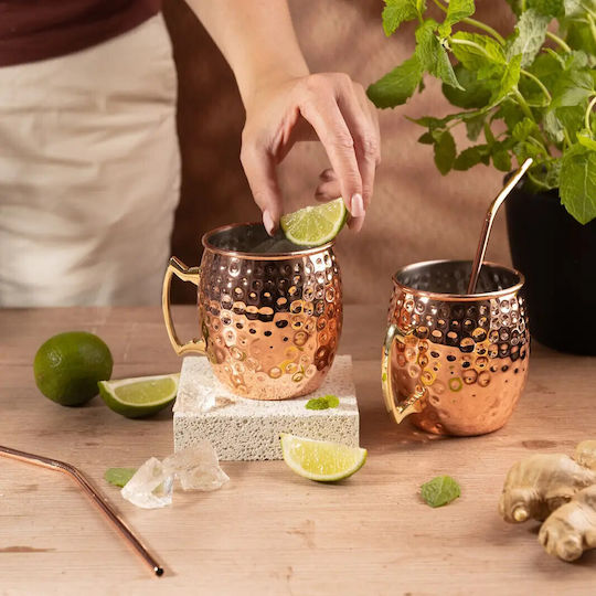 KING Hoff Set Gläser Cocktail/Trinken aus Edelstahl mit Strohhalm 500ml 2Stück