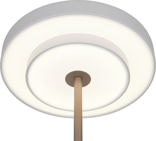 Trio Lighting Διακοσμητικό Φωτιστικό Keaton