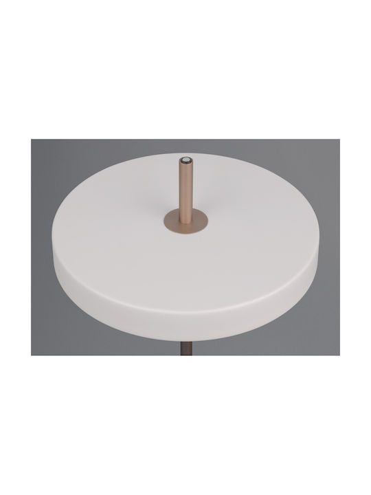 Trio Lighting Διακοσμητικό Φωτιστικό Keaton