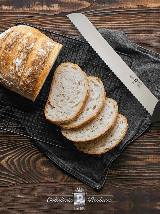 Paolucci Coltellerie Knife Bread from Stainless Steel 26cm