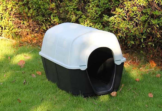 Dog House Plastic Outdoor