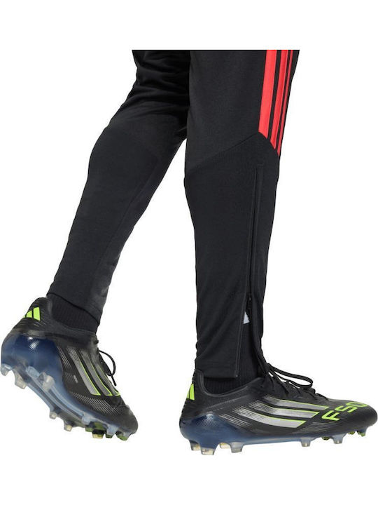 Training Sweatpants Glossy Black And Red