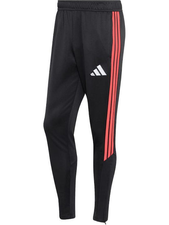 Training Sweatpants Glossy Black And Red