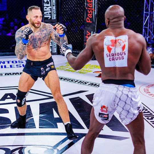 MMA Ръкавици Harmony Valor Series