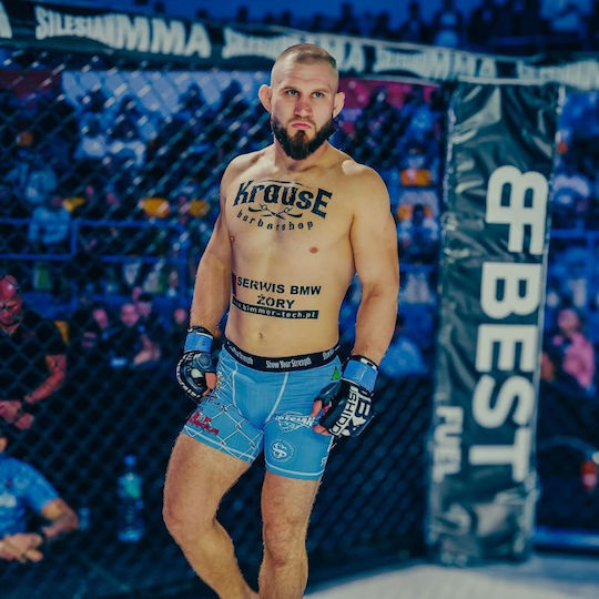 MMA Ръкавици Harmony Valor Series