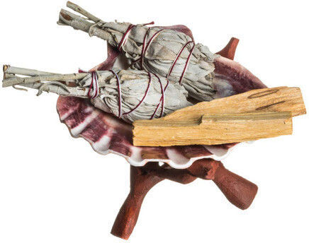 Burner Shell Incense Natural Scallop Lion's Paw 13cm