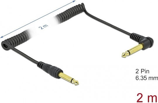 DeLock Cable 6.3mm male - 6.3mm male 2m (85939)