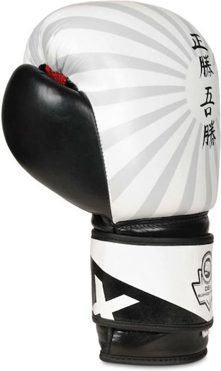 DBX Bushido Boxhandschuhe Leder für Kampf Weiß