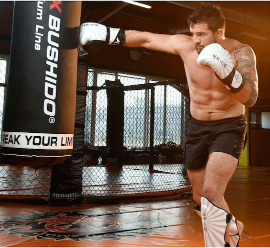 DBX Bushido Boxhandschuhe Leder für Kampf Weiß