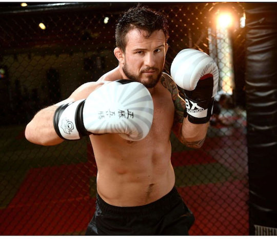 DBX Bushido Boxhandschuhe Leder für Kampf Weiß
