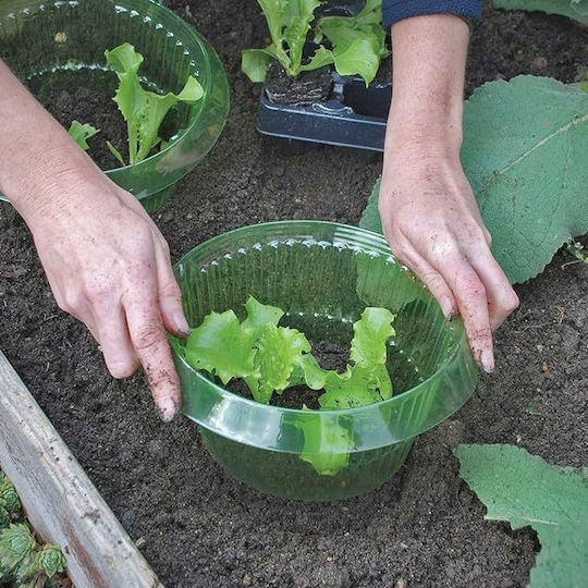 Vegetable Cover Slugs Lettuce Pests Seedlings Effective Eco 10 Pcs