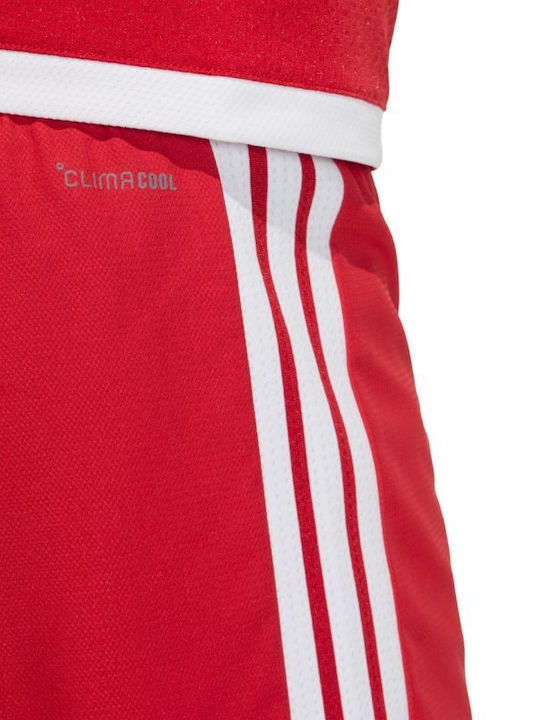 Tiro Мъжка Бермуда Red And White