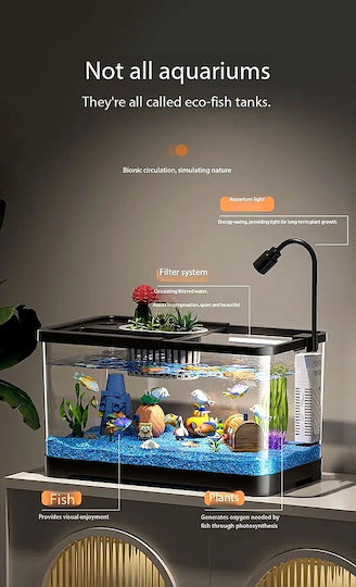 Fish Aquarium Capacity 43lt with Filter and 53x28cm