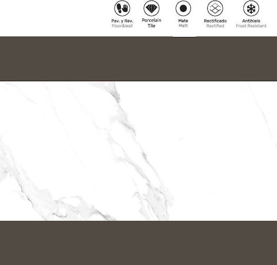LV Granito Fliese Boden / Wand Küche / Bad 60x60cm Statuario