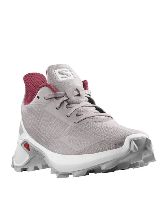 Salomon Salomon