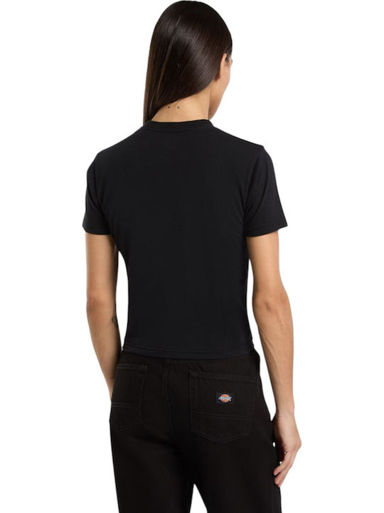 Dickies Dickies