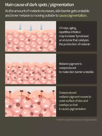Anua Serum Gesicht mit Vitamin C & Vitamin E für Strahlkraft & Aufhellung 20ml
