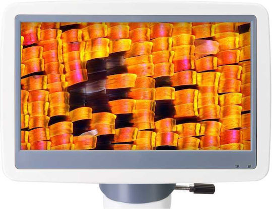 Digital Microscope Levenhuk D95l 40-1000x Optical Magnification 2000x Digital 4x Objectives 7-inch Color Screen 2 Mpix Digital Camera Abbe Condenser N.a 1.25 Iris Diaphragm Filter Holder