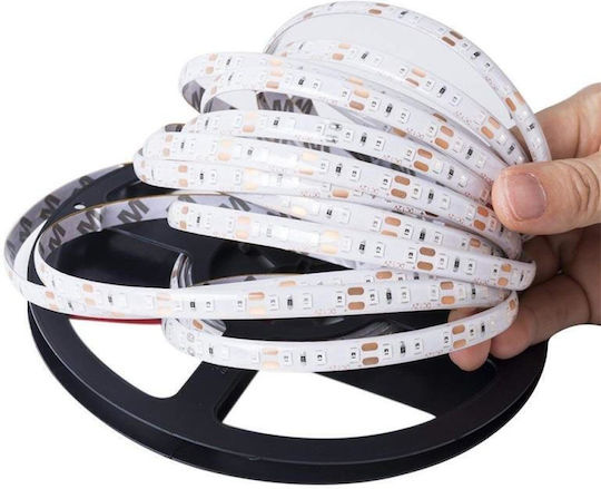 Waterproof LED Strip Ywxlight 300 12V Red Light 5m Type SMD3528