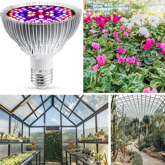 Lamp LED-Lampe 30W für Fassung E27 Rot