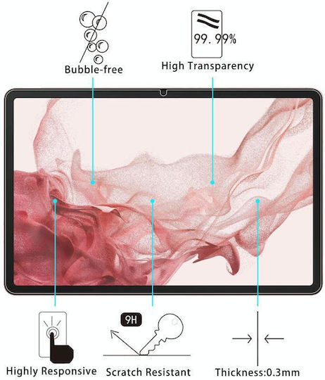 Plus 2pcs 9h 0.3mm Tempered Glass (Galaxy Tab S9)