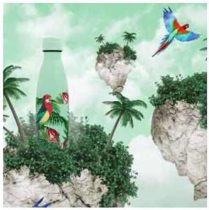 Yoko Sorbet Citrus Μπουκάλι Θερμός Ανοξείδωτο BPA Free 500ml Πολύχρωμο