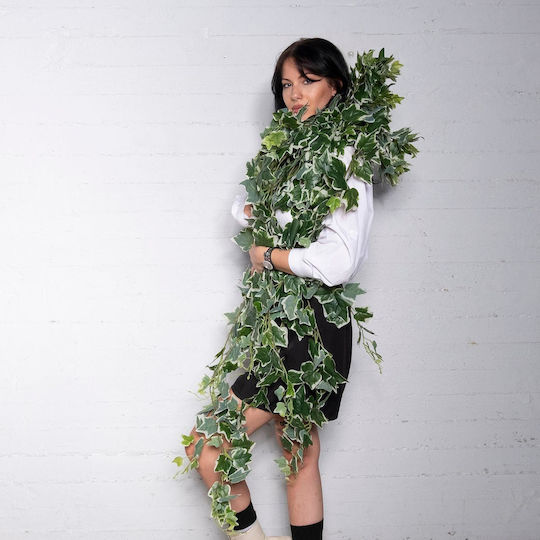Decorative Ivy Garland Supergreens