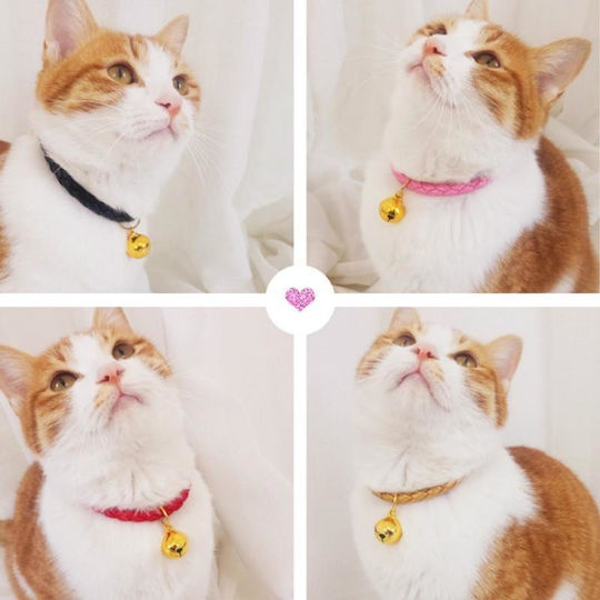 Ошийник За Котка Златист
