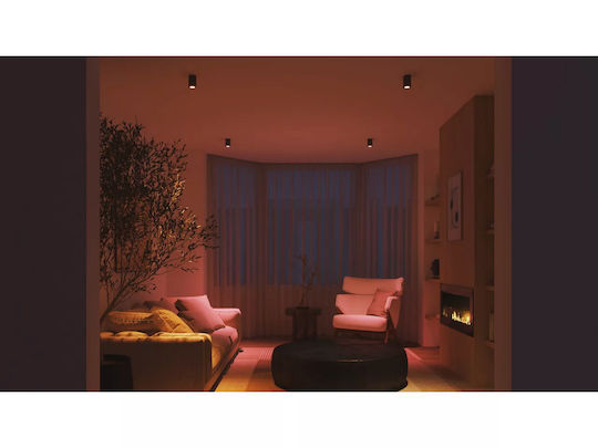 Philips Smart Bulbs Hue Smart Spotlight Essential LED 4.7W for Socket GU10 2pcs