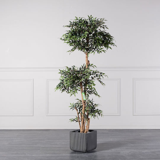 Supergreens Artificial Ruscus Tree Green 150 cm